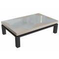 Ensemble de table basse moderne